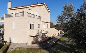 Villa Elli
